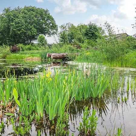 3 Сasa de vacaciones *