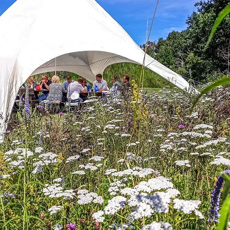 Hébergement de vacances 3 Grashoek