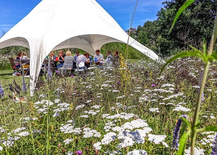 Сasa de vacaciones 3 Grashoek