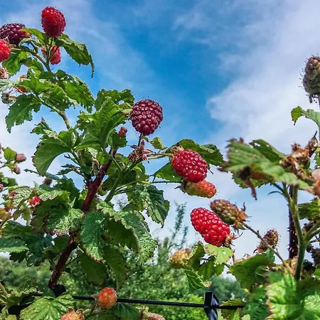 Σπίτι διακοπών 3 *